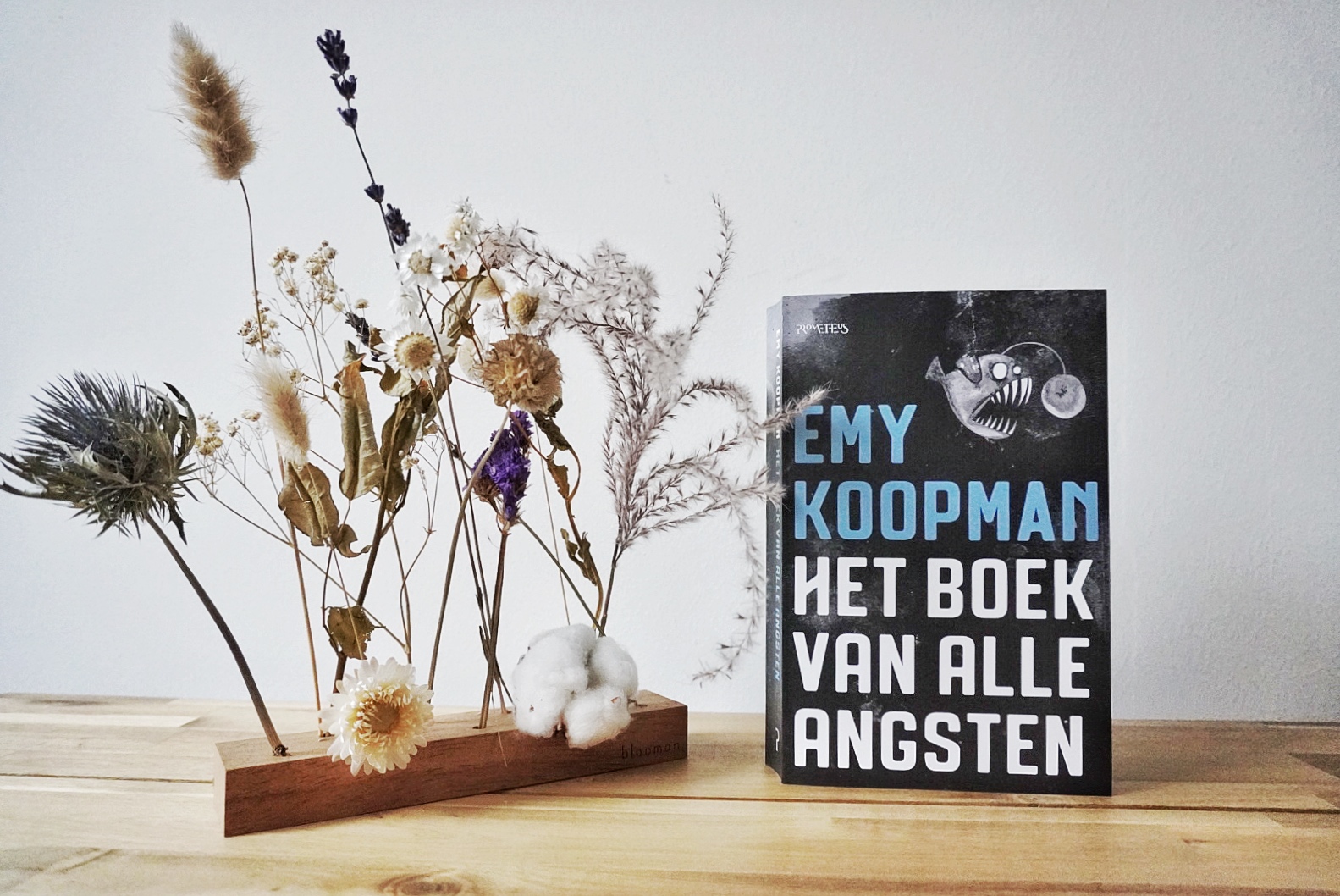 Het Boek Van Alle Angsten Samenvatting